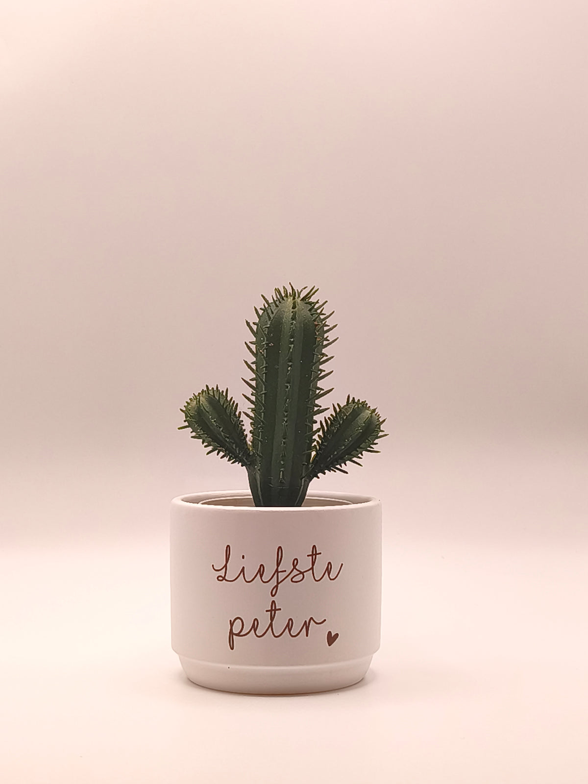 Plantenpotje