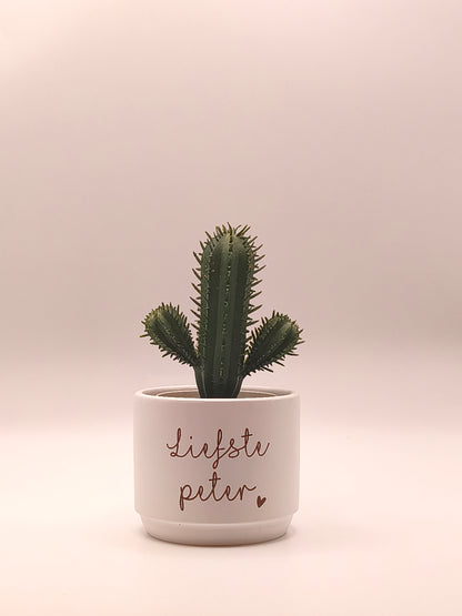 Plantenpotje